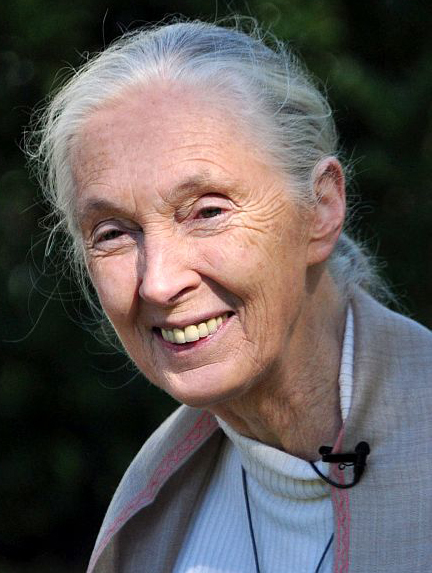 A photograph of Jane Goodall